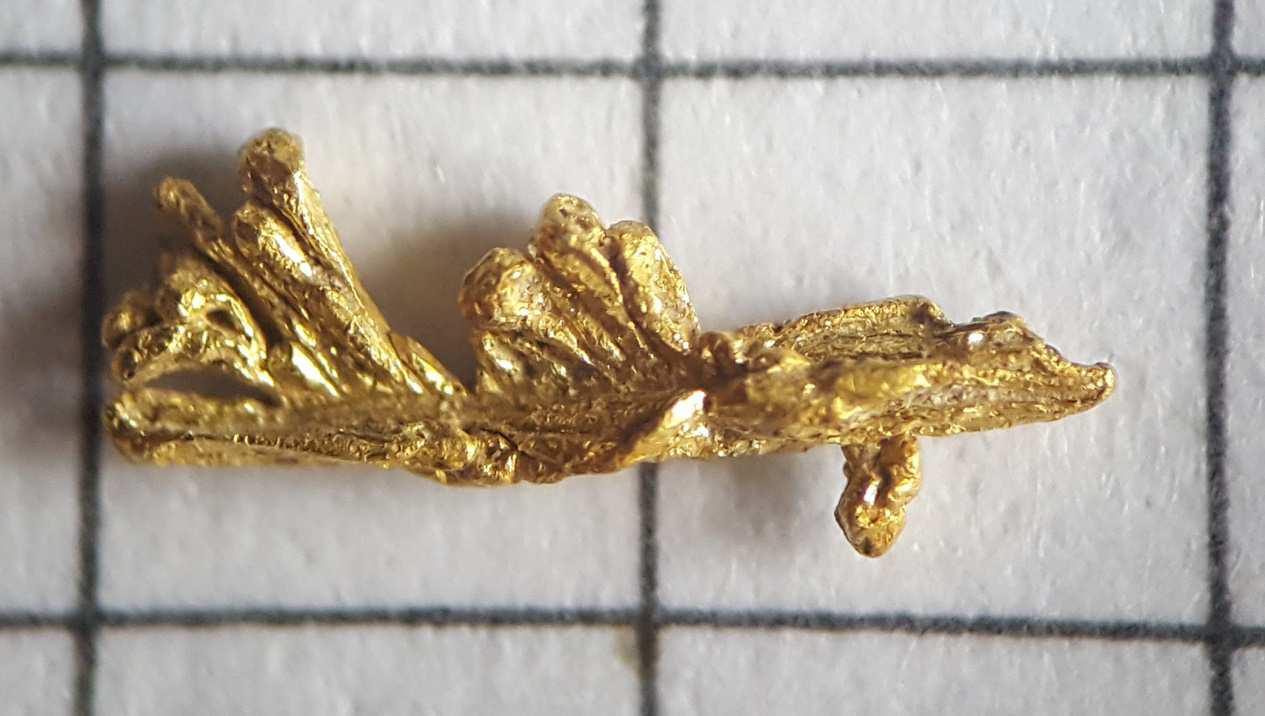 Oro Gorzente