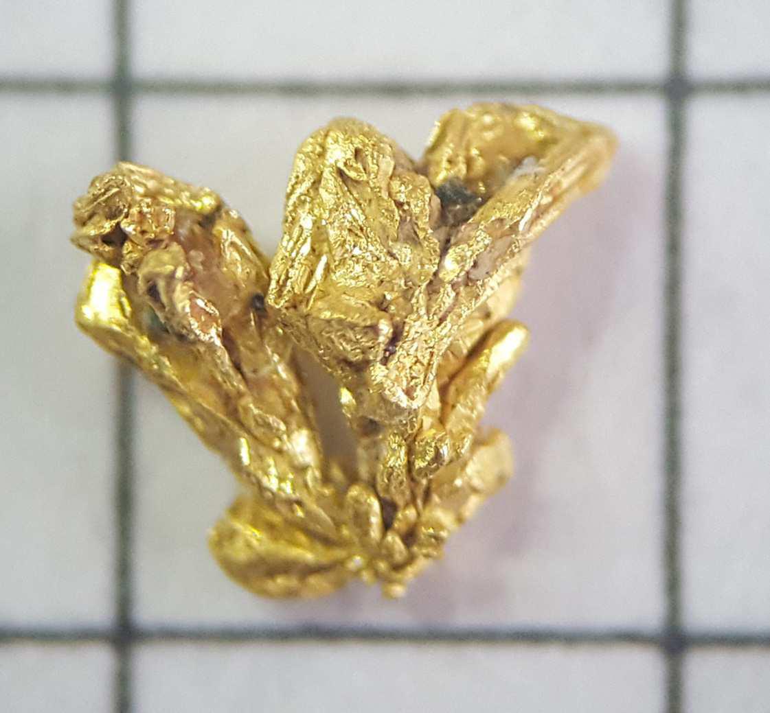 Oro Gorzente